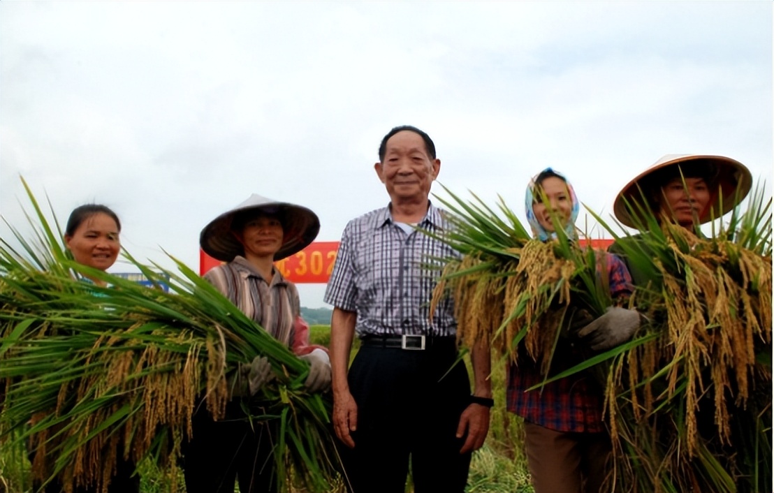 全球4大粮商“ABCD”，掌控全球80%的粮食交易，有3家是美国公司