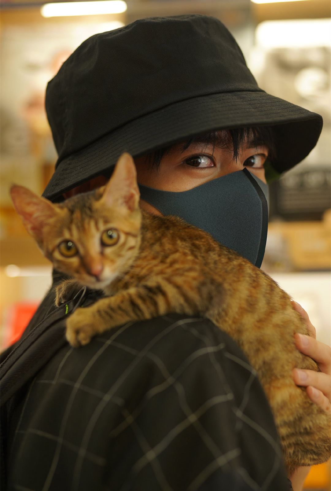 《天才基本法》定档将播，雷佳音领衔，演员阵容深厚，有爆款潜质