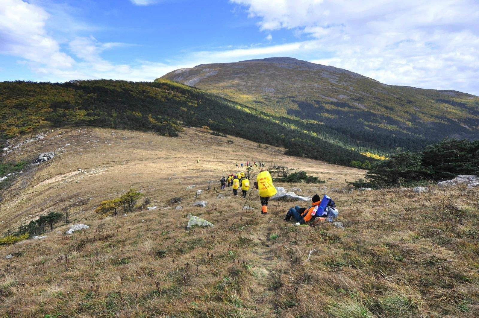又有驴友擅闯秦岭禁地！95后女诗人遇难，5年死亡46人仍屡禁不止