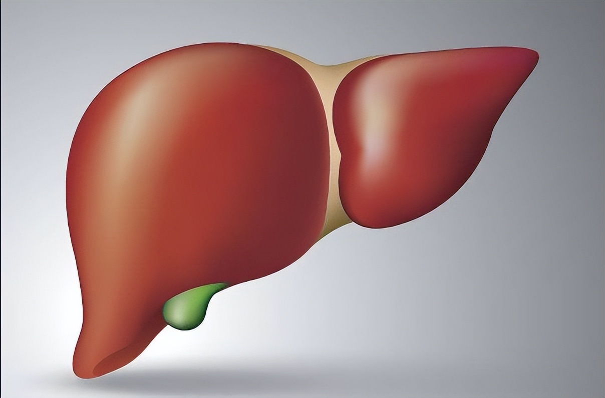 李兰娟：早上是养肝“黄金期”，坚持吃5种早餐，或可让肝功变好