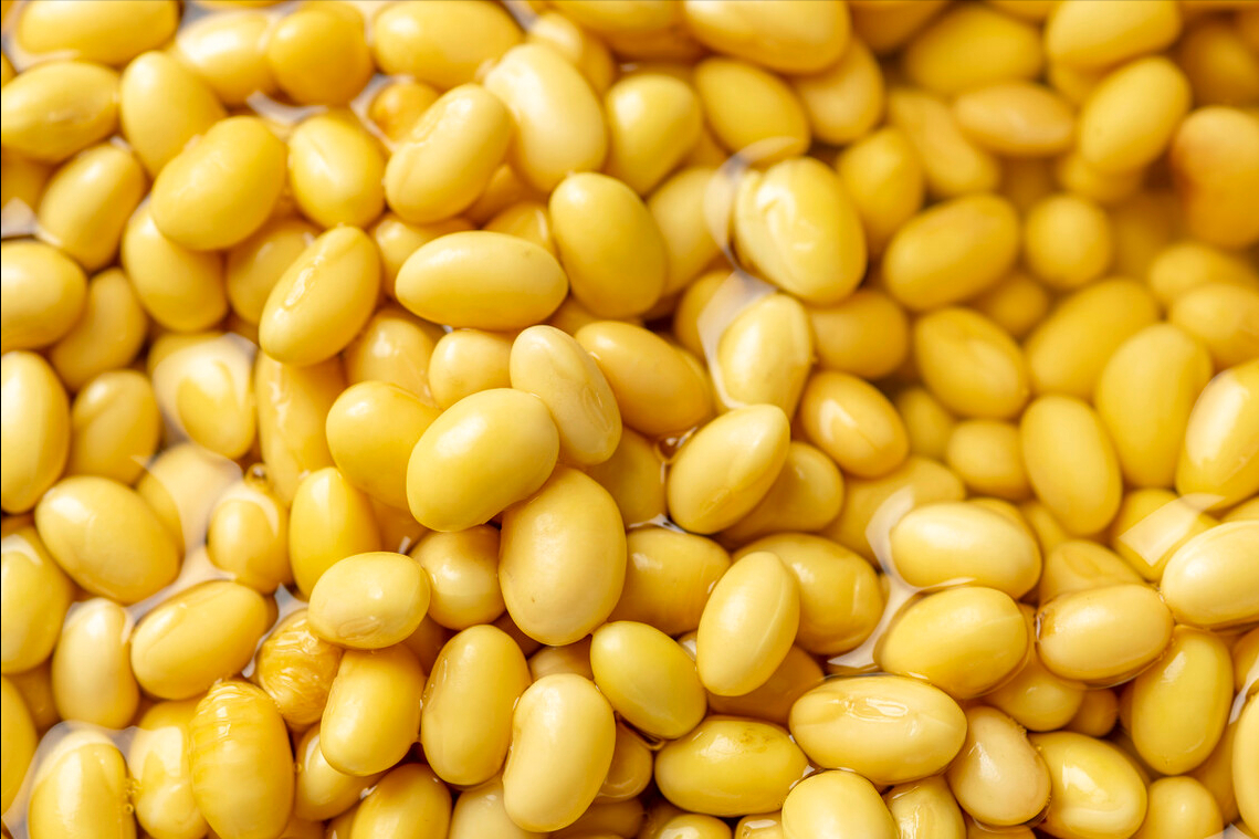 一把黄豆半碗醋，教你自制豆腐，方法简单易上手，鲜美香嫩无添加