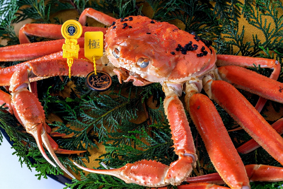日本六大名蟹