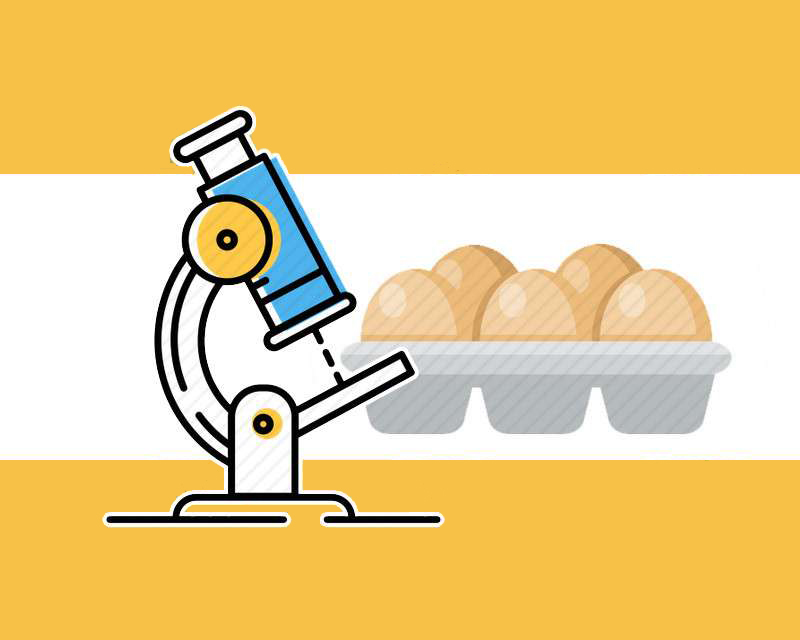 每天只能吃一个鸡蛋，否则会给器官造成负担？其实需根据情况而定