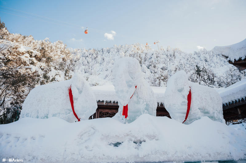 成都周边游 | 川西的雪国秘境，我与瓦屋山的纯白约定