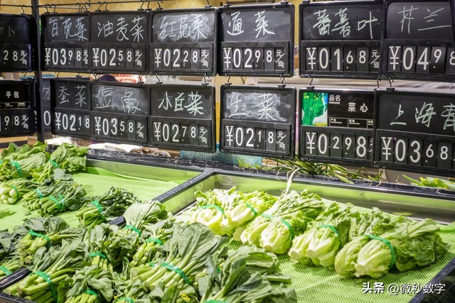 上海肉菜价格今日价「今日菜粕价格」