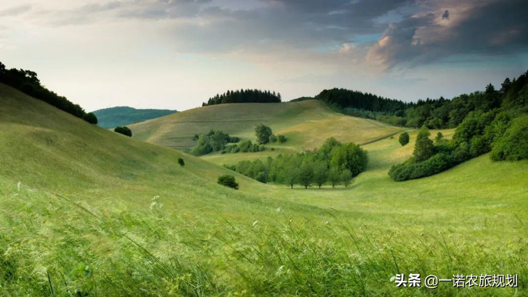 乡村振兴：土地、资金与收益