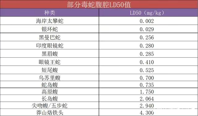 一条100多万！我国不到500条，“蛇中熊猫”莽山烙铁头为啥濒危？