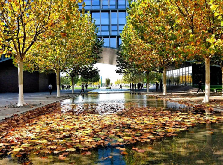 天津电网公布22年录用名单！天大41人，华北电力大学人数仅排第3