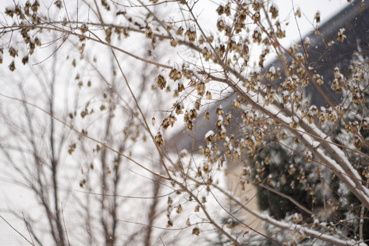 今年单招有哪些学校（没有人告诉你）