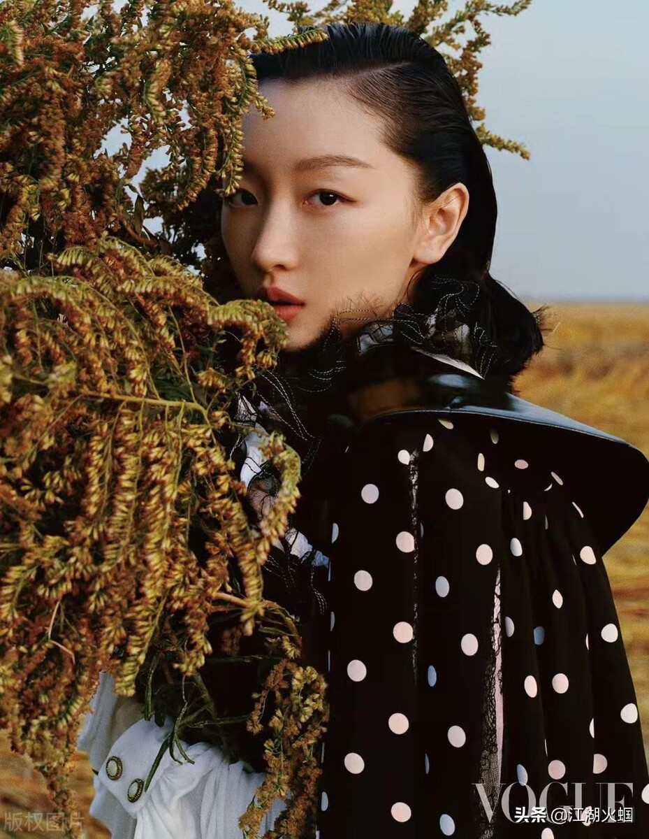 八卦：任嘉伦 谭松韵 金晨 杨紫 娜扎 蓝盈莹 林更新 彭于晏 罗云熙 刘亦菲