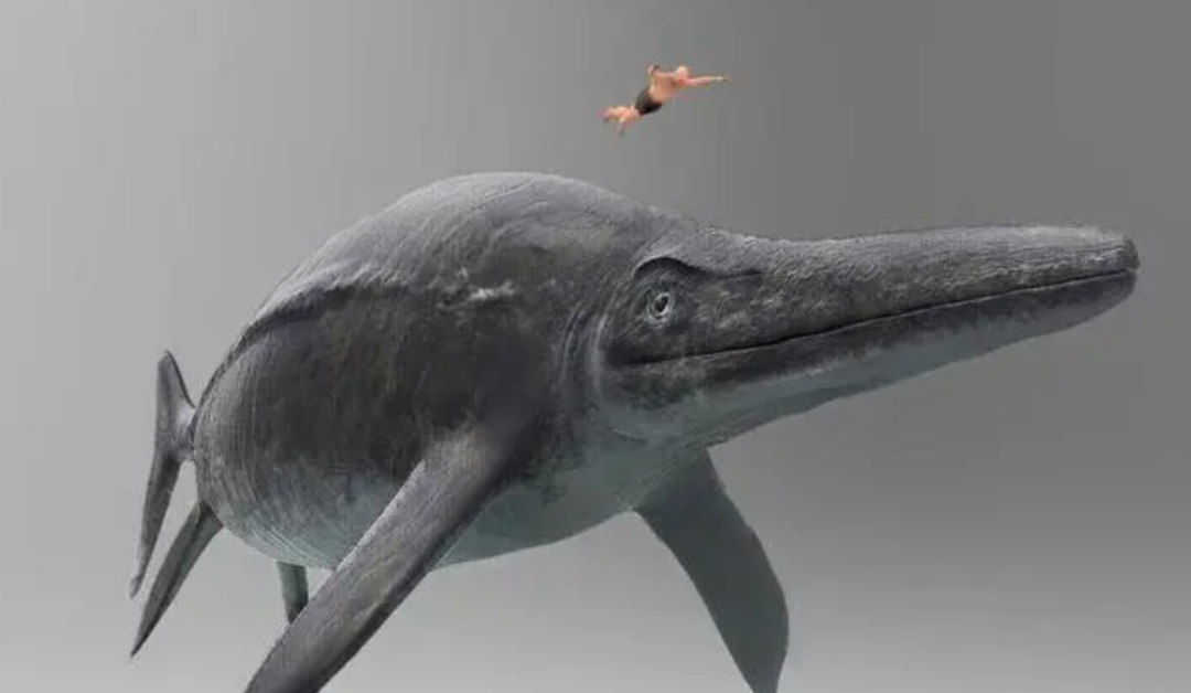 3����ǰ��һ�š���˿������Ƕ��ʯ���У��ҿ�һ��ʷǰ���۷�ʱ��