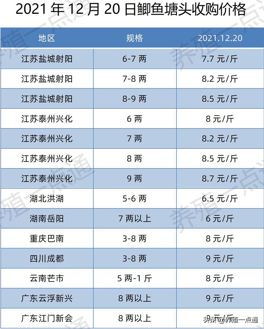 2021年12月20日，罗非、花鲢、鳊鱼、鮰鱼、鲫鱼、黑鱼、鲤塘口价