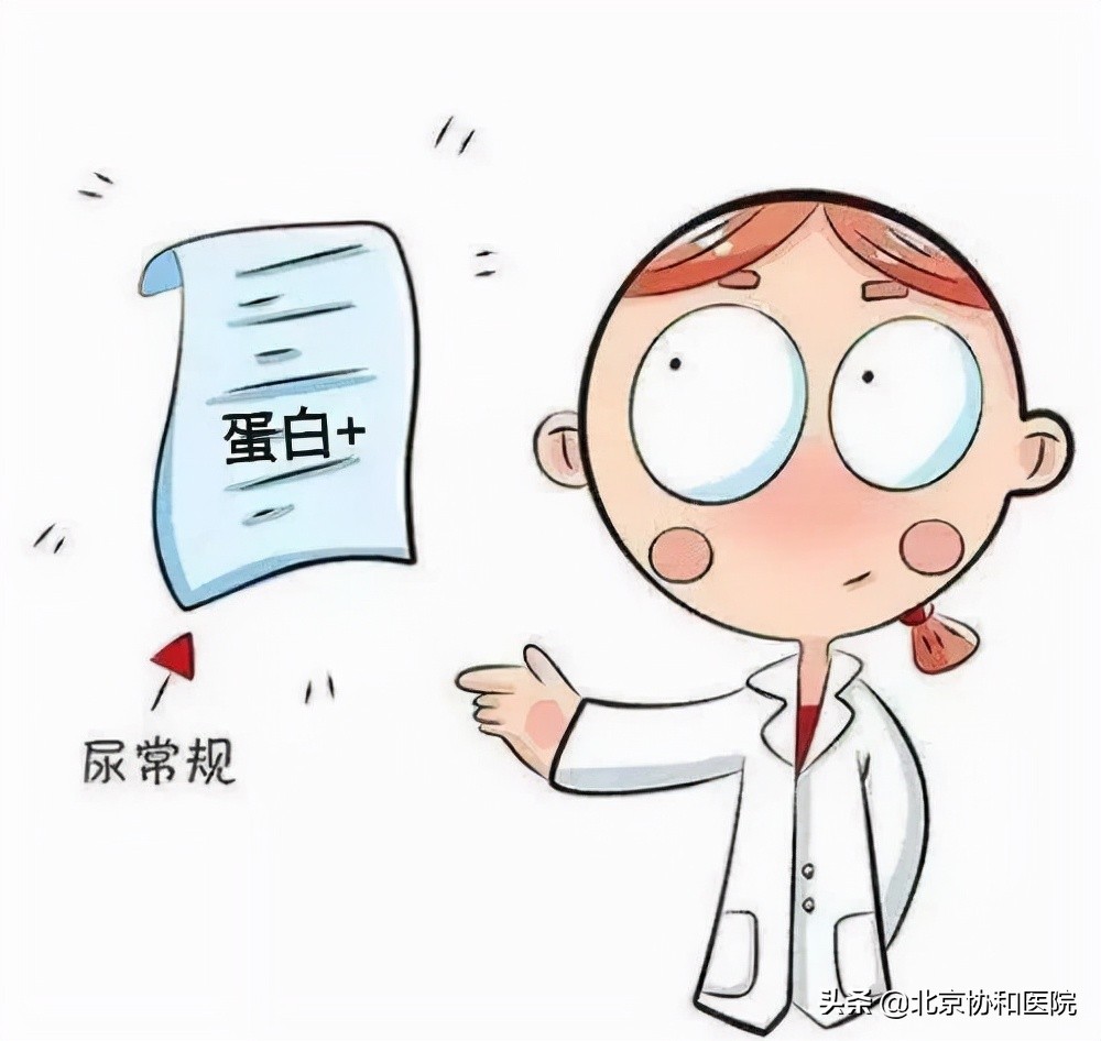 的膜性肾病,淀粉样变等,这些疾病的治疗方案与糖尿病肾脏疾病完全不同