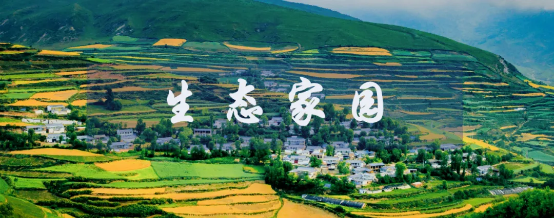 请回答,甘南2025!