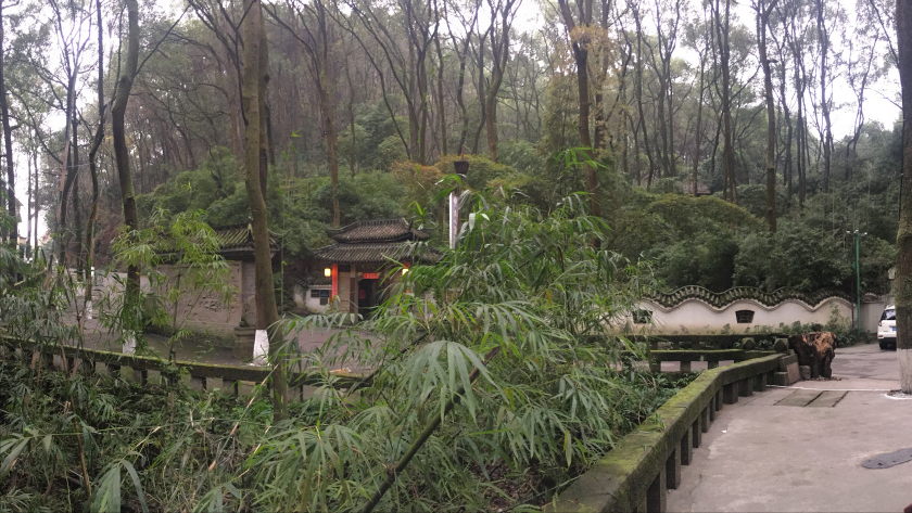 重庆工商大学：2020转专业成功率2%，会计学院专业分流详解