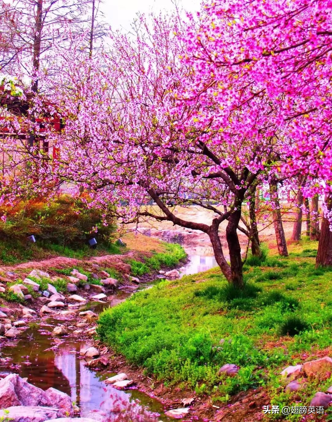 advisable(重点词汇advisable用法解析)