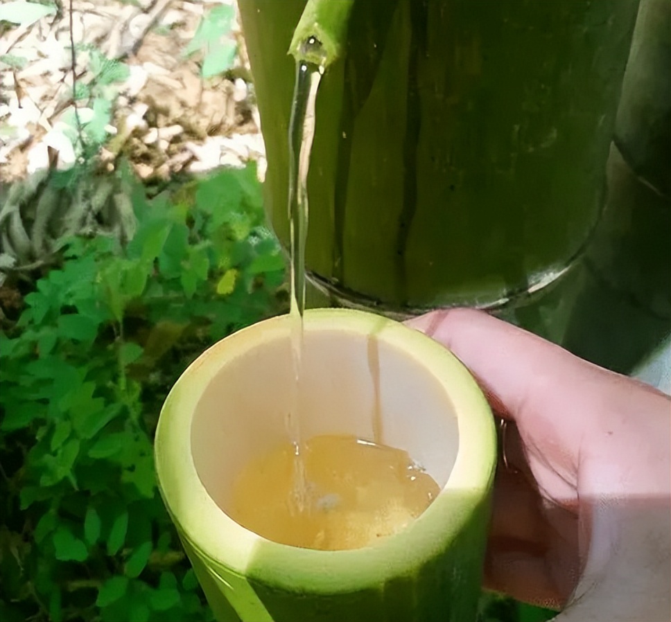 东方竹语生态竹酒价格(竹子灌酒酿制的) - 价格百科
