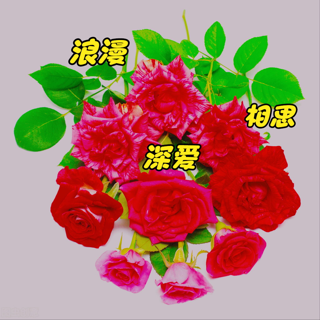 一花一深爱，万紫千红一树花，鸟语花香一惊艳，春有暖阳心有爱