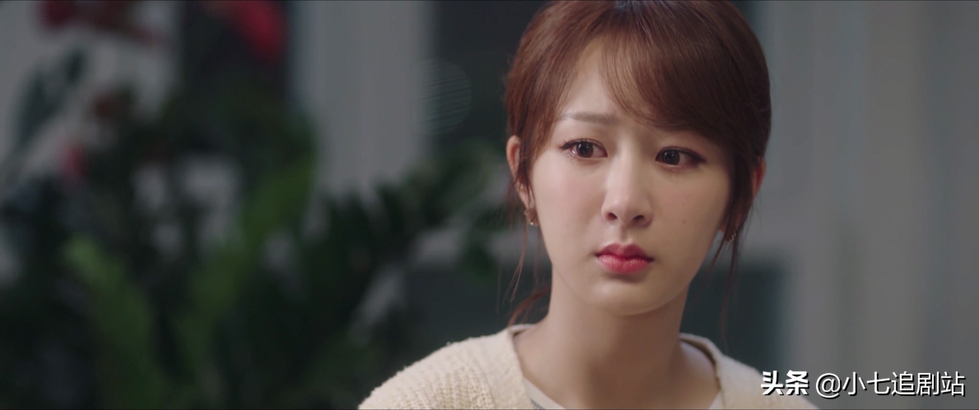 《余生请多指教》林之校和顾魏误会解除 第二个误会又无缝安排上了