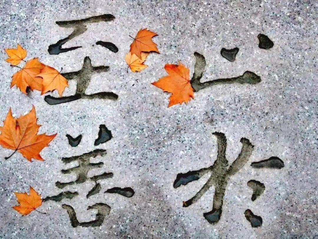 启天时、聚地利、应人和！东南大学：承大国气象，开双甲荣光！