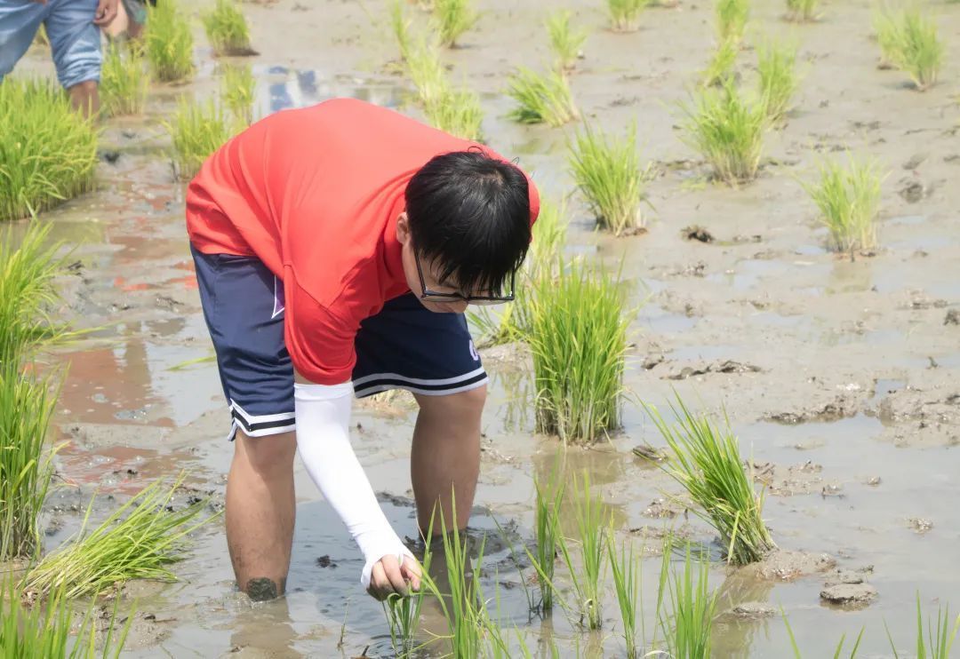 浙江同济科技职业学院建筑工程学院来浔开展暑期社会实践活动