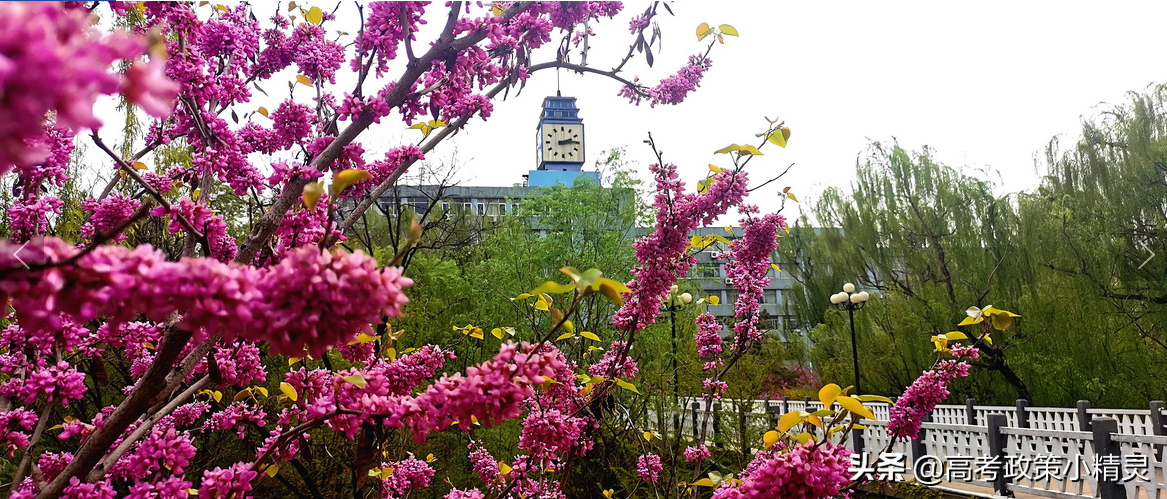 济南大学高考要考到多少分？师资情况怎样？今天带你走进济南大学