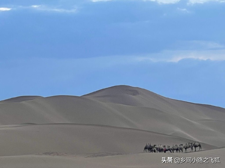 angelababy晒新疆美景照 蹲地与小朋友们合照亲和力十足