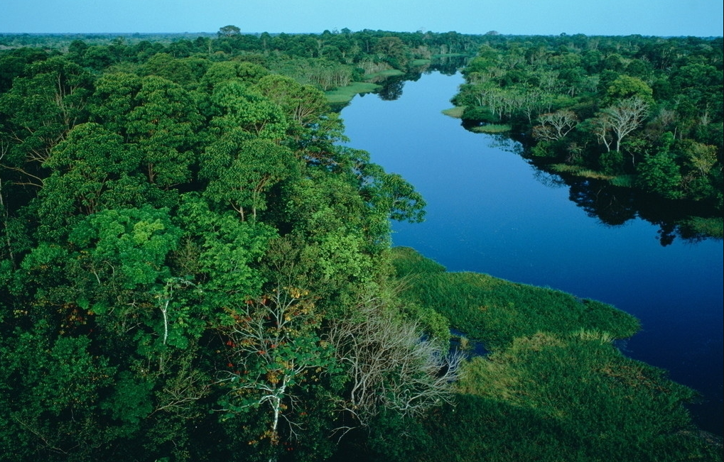 �й�ɳĮ��ɭ�֣��������ֿ�����ȴ����67%�����ȵĸ�Դ�ҵ��ˣ�