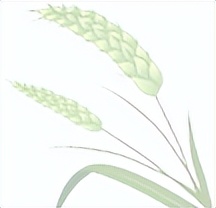 压可以组什么词（压可以组什么词语和拼音）-第4张图片-科灵网