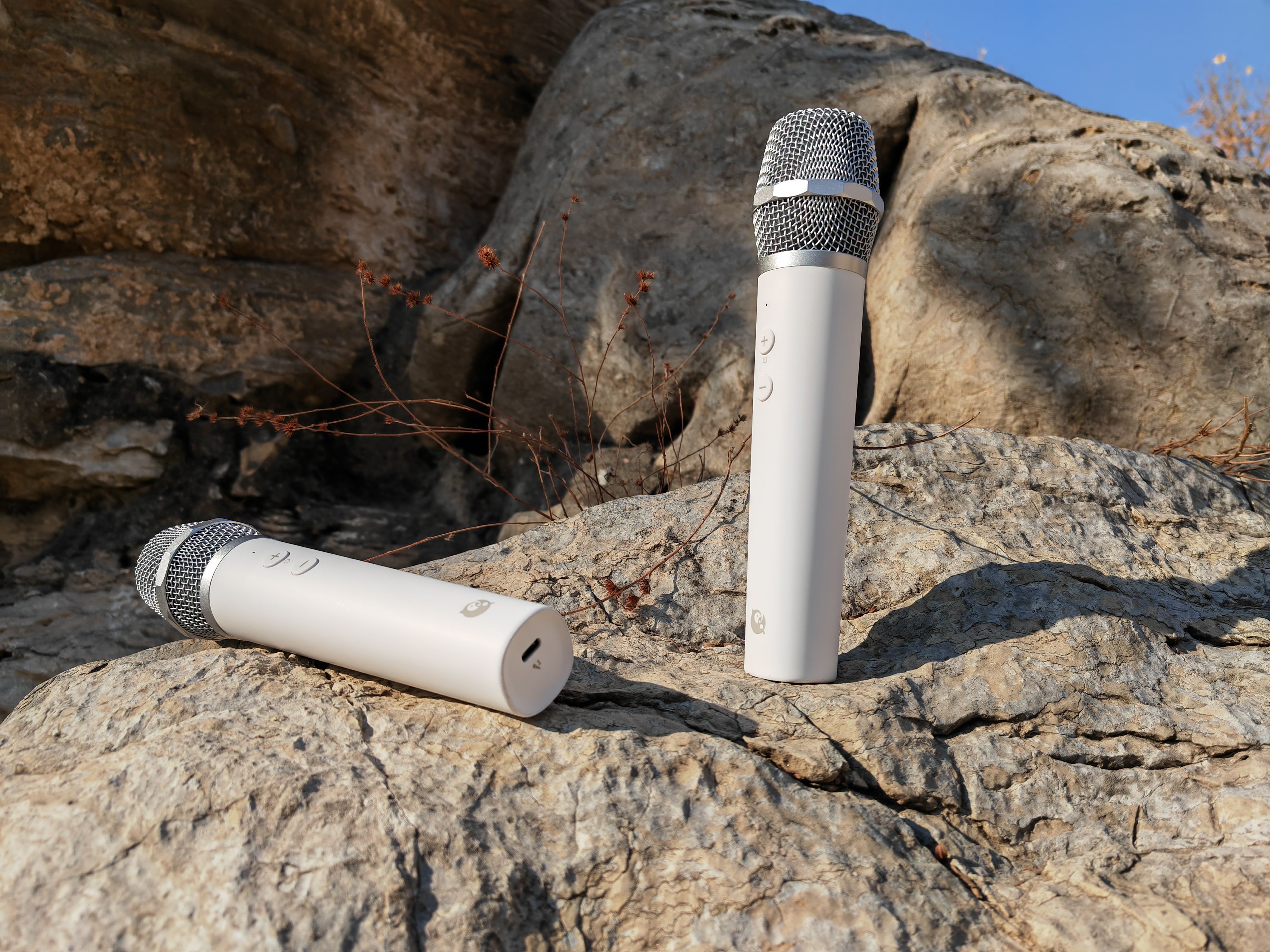 全民K歌独家麦克风 在家K歌更容易