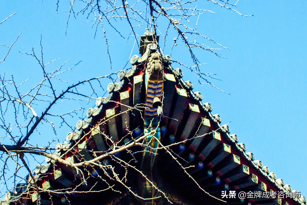 解读5所四川的优质高职院校，口碑极好，走单招的学生可重点考虑