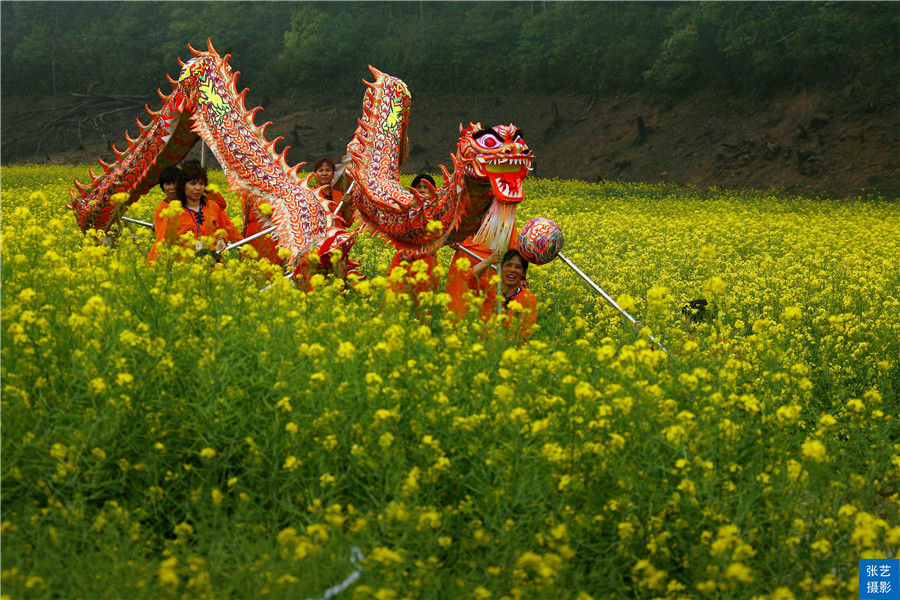 阳春三月，广东石门油菜花田乡村美，春天赏花拍照踏青好去处