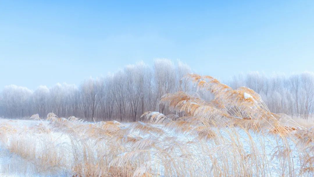 写雪最美的10首诗词，如冰如玉，纯美轻盈，美到灵魂里