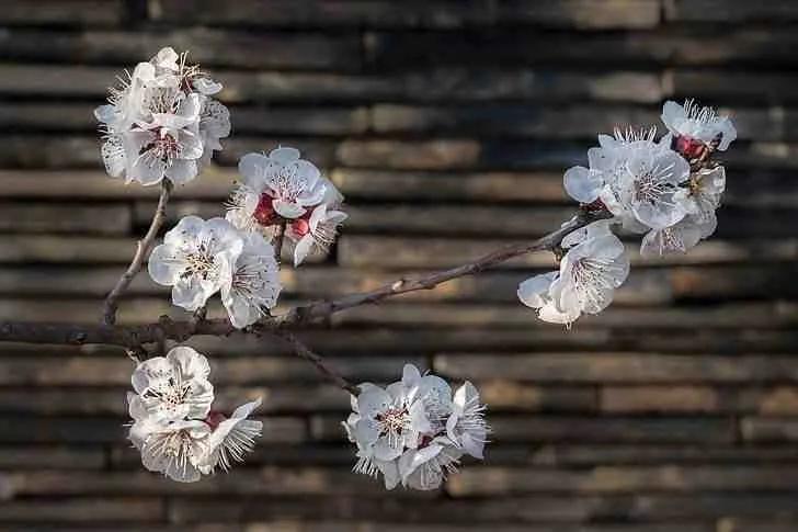 励志金句，充满自信和力量；有了积极的态度，成功就叫做成就