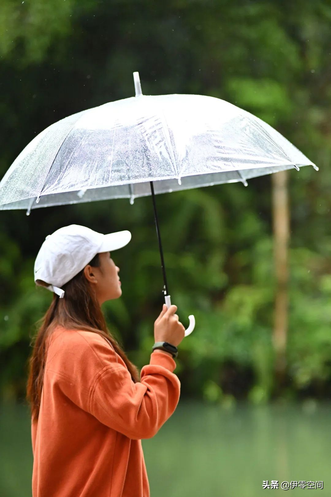 心之所向,路之所往 | 雨中漫步天然氧吧——小坪山森林公園