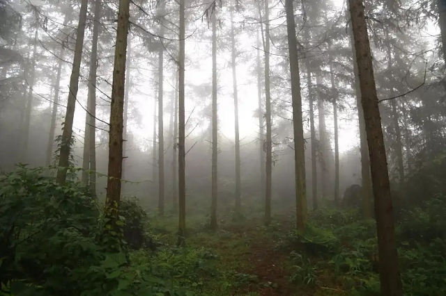 14岁湖南少女猝死，次日尸体却离奇失踪，24年后竟在四川“复活”
