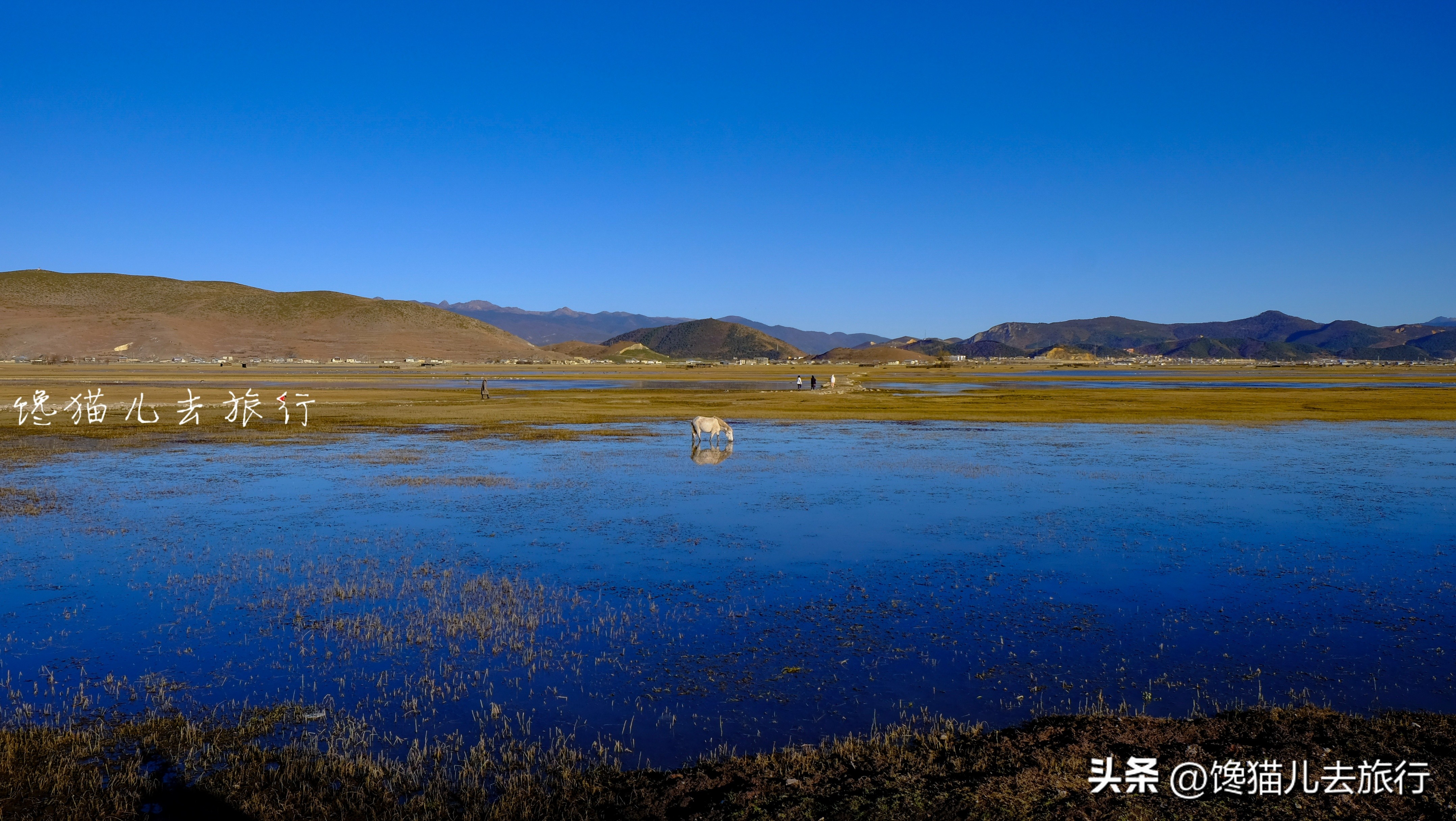 香格里拉是在云南吗（分享香格里拉的地理位置）