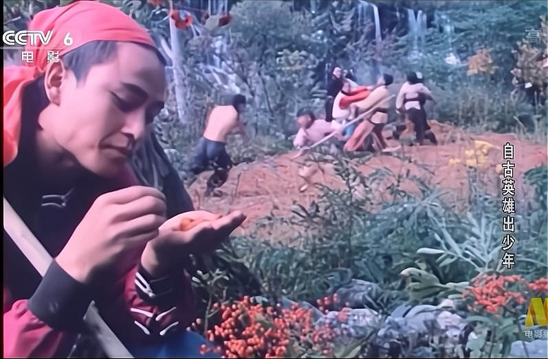 《自古英雄出少年》，八十年代红极一时，为何主演一个都没火