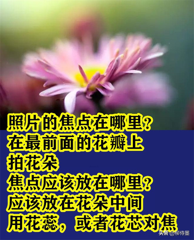 难怪照片不好看，这些拍照时的“坏习惯”，摄影新手经常犯