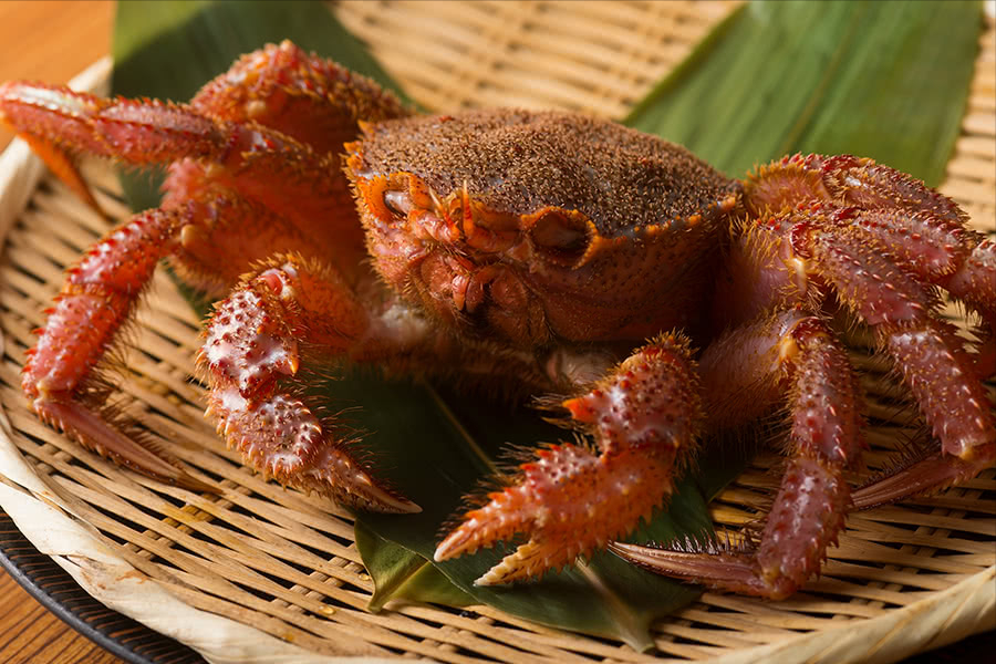 日本六大名蟹
