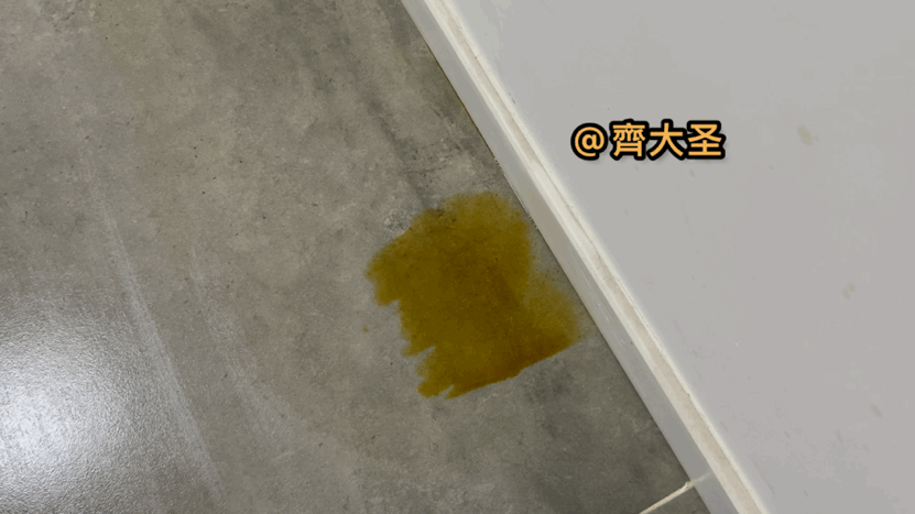 拖地哪家强？四款热销扫拖机器人实测（石头/云鲸/360/科沃斯）