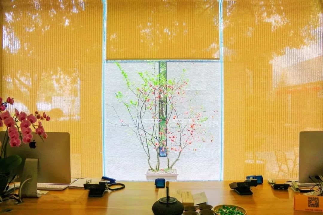 花园美景既要“藏”，又要“漏”