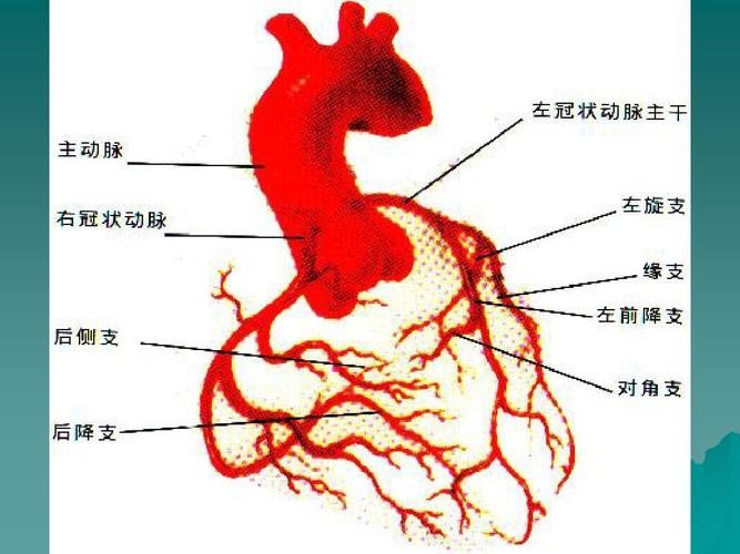 两种中成药，多靶点“清理血液”，从根上疏通冠脉，改善心肌缺血