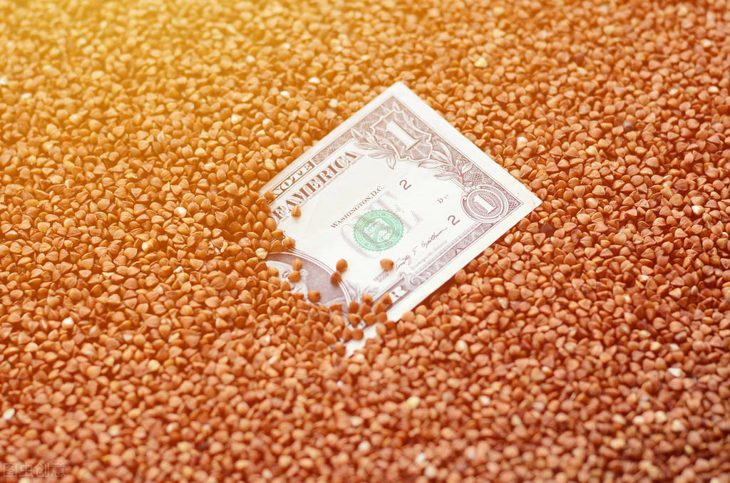 玉米期货价格跌破2900元，刹不住了？国际局势要扭转玉米行情？