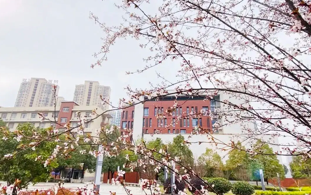 高考进入倒计时，全国唯一一所只招收女生的学校，开始招收男生