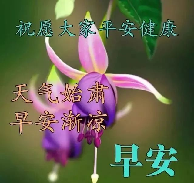 开心快乐天天，吉祥如意年年愿您新的一天，收获新的圆满，早安