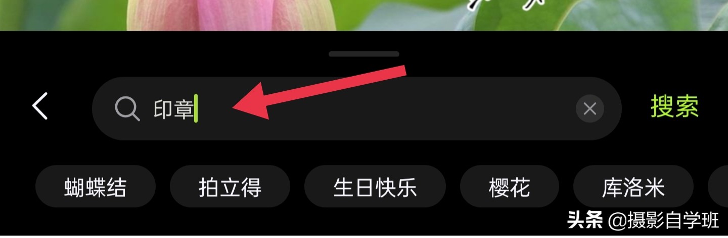 荷花照片這么拍，嬌艷不庸俗，荷花和書法和印章更配