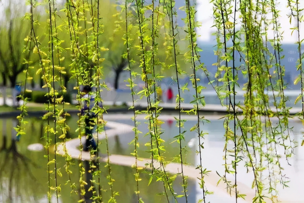 未入选《唐诗三百首》最著名的20首诗，其中有很多首你都能背下来