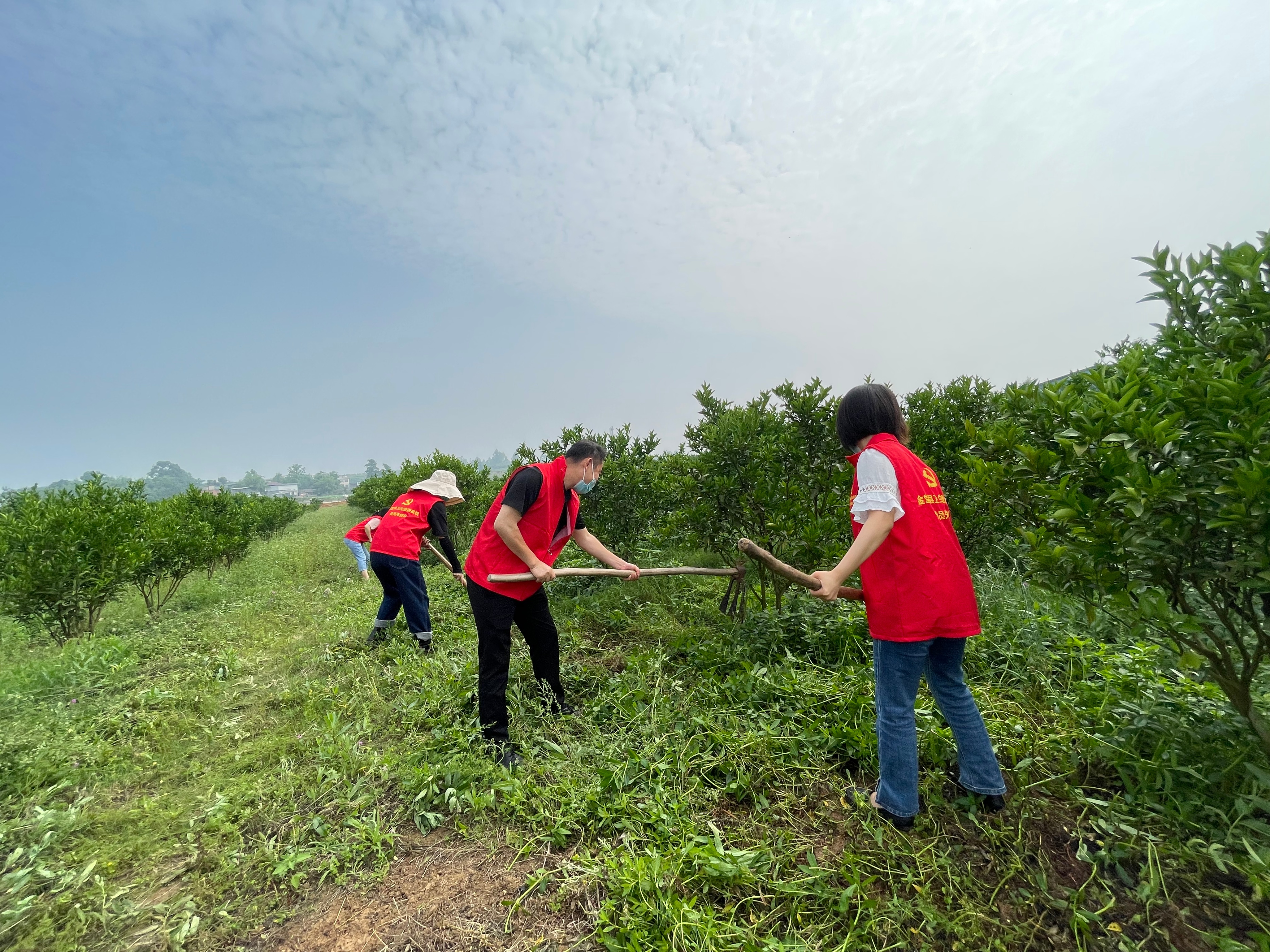 金堂县四医院开展“助力农耕，党员先行”主题党日活动