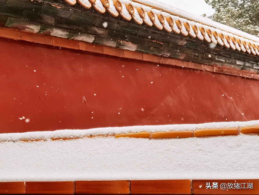 600年的紫禁城，一场大雪覆盖金瓦红墙，美得不动声色